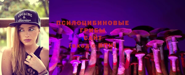 амф Алексин