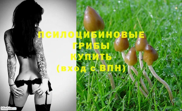 альфа пвп VHQ Алзамай