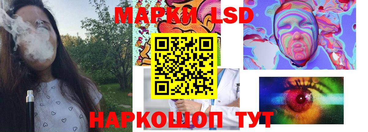 Курчалой  ЛСД экстази  Вход с VPN  OMG как зайти  Лсд 25 экстази кислота  Лсд 25 экстази кислота 