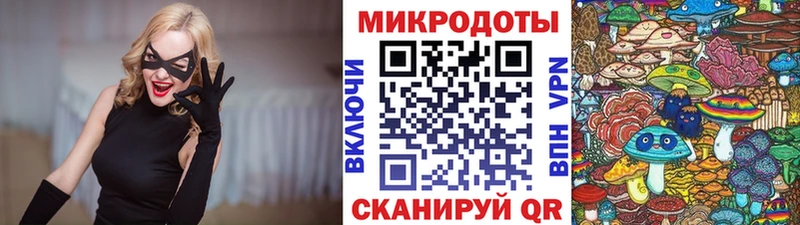 Галлюциногенные грибы Cubensis  Курчалой 