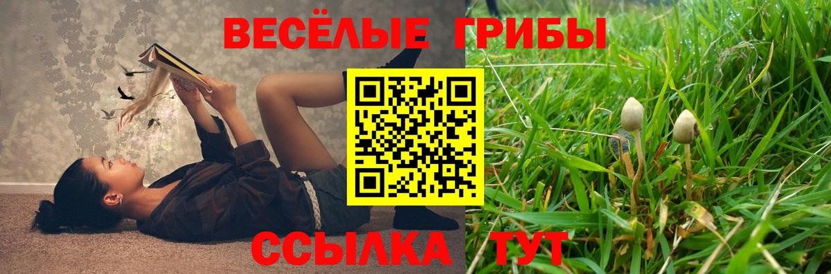 Псилоцибиновые грибы мухоморы Курчалой