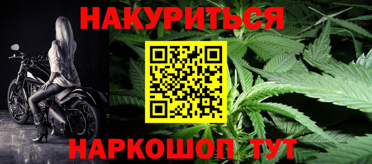 Шишки марихуана марихуана  Бошки марихуана семена  Курчалой  Вход с VPN 